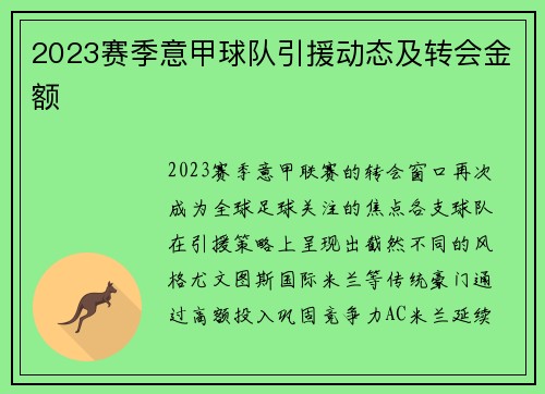 2023赛季意甲球队引援动态及转会金额